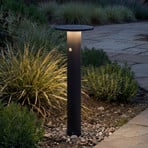 Arcchio LED tuinpadverlichting Tovio, hoogte 81 cm, sensor, antraciet
