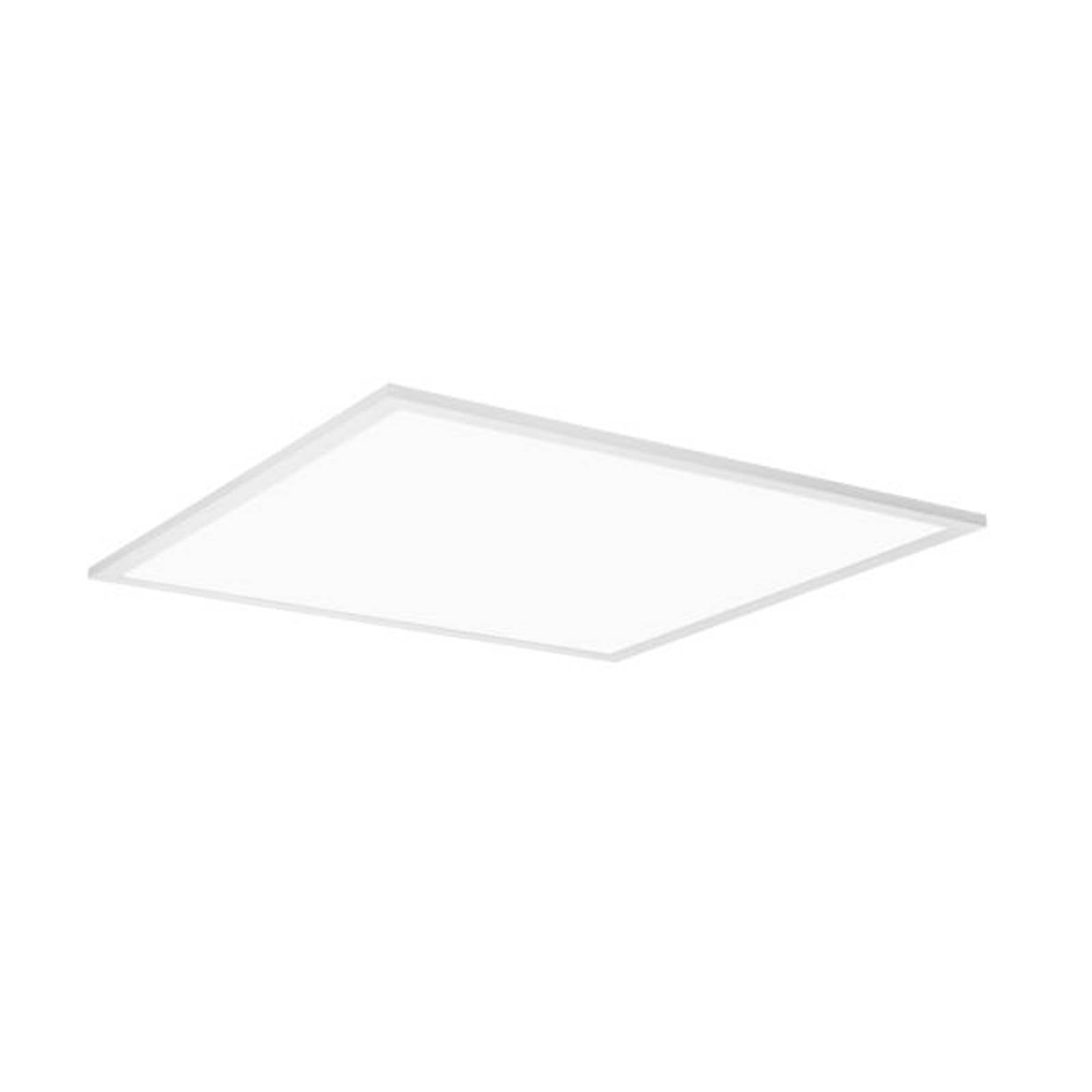 BRUMBERG Ailis LED-Panel opal 3000K DALI