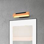 Kerala LED wall light with a switch dimmer