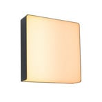 Azalena Candeeiro de Parede Exterior Zigbee SWR Antracite - Paulmann