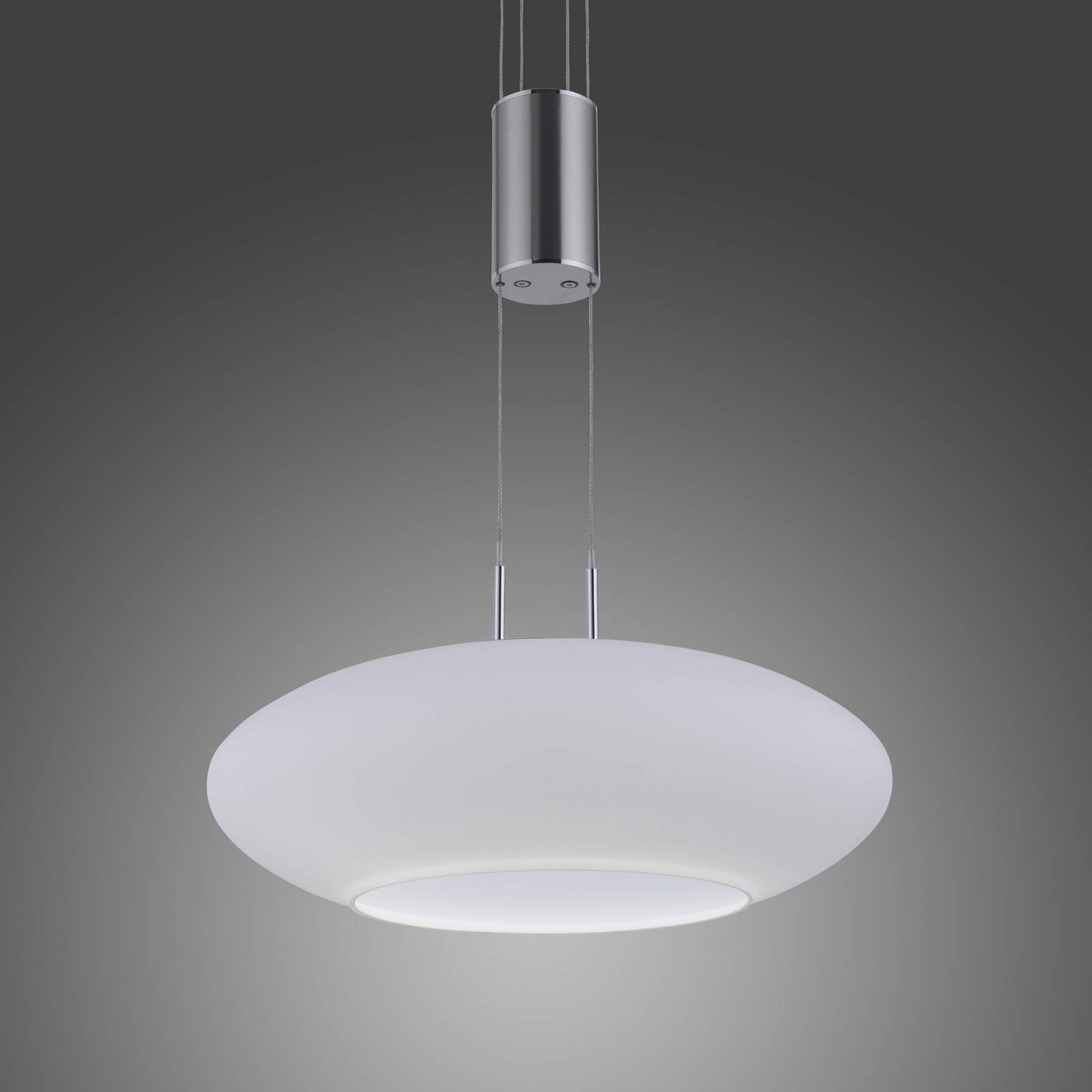 Paul Neuhaus Q-ETIENNE suspension LED 1 lampe