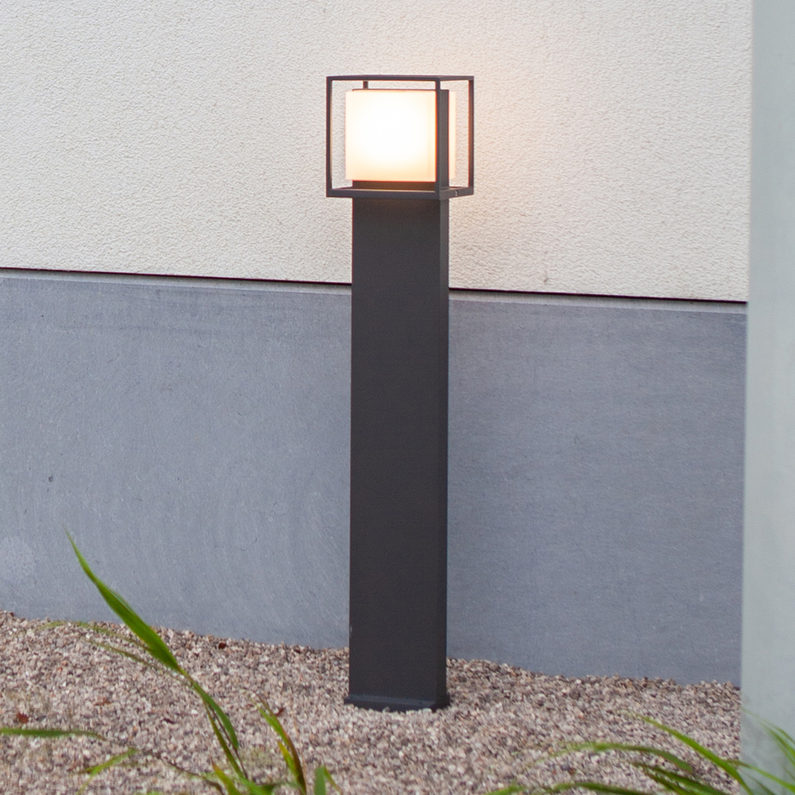 LED-veilampe Cruz