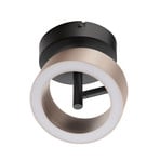 LED-uplight Axion, svart/brun, Ø 15 cm, Memory, CCT