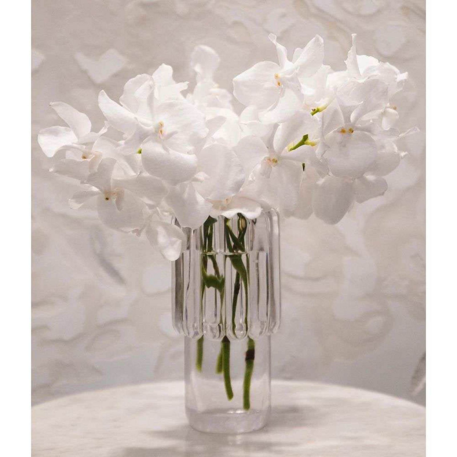 Press Vase Medium Clear - Tom Dixon