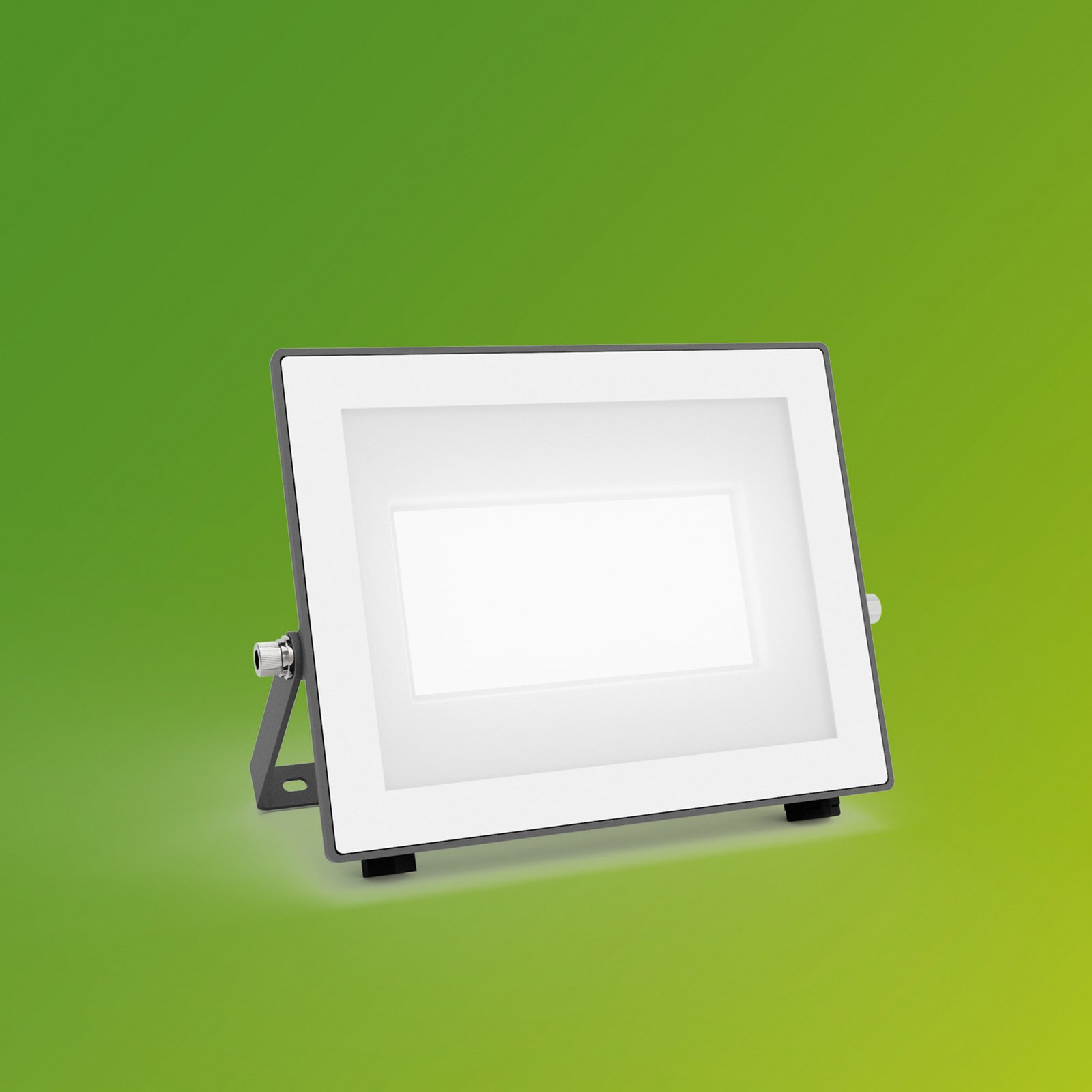 Philips LED-Außenstrahler Lois UE flood, 24 W, 5.000 K, IP65