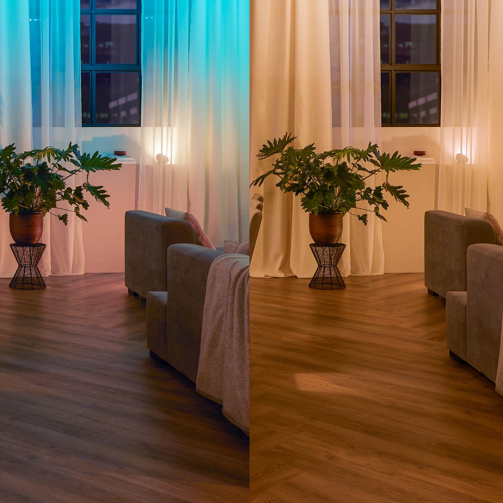 Vægafbrydermodul 2-pak - Philips Hue