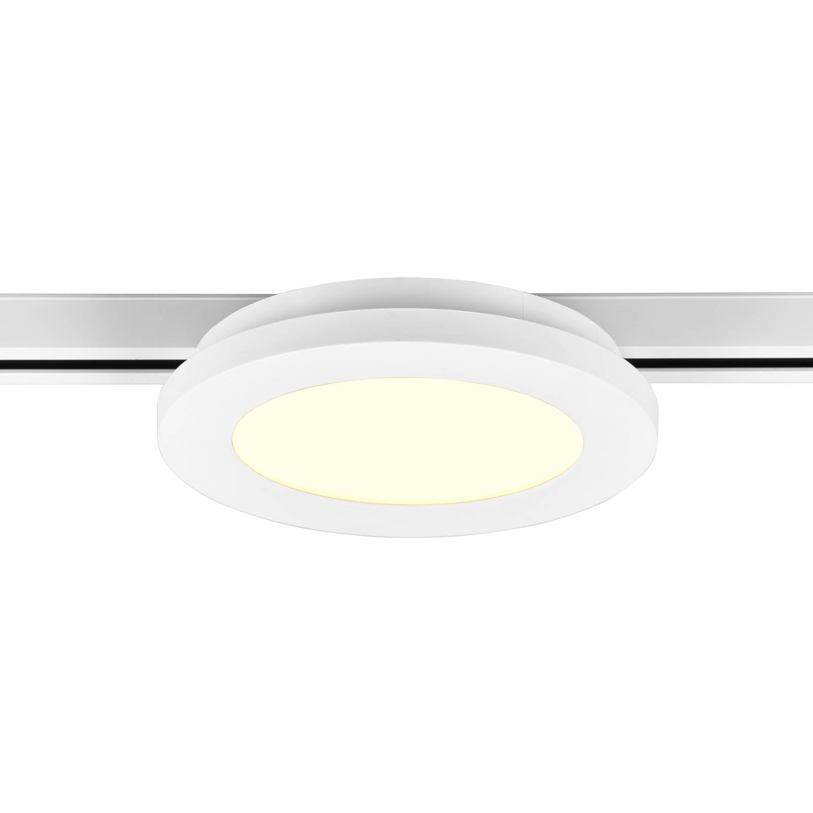LED-Schienenleuchte Camillus für DUOline, weiß, Ø 17 cm