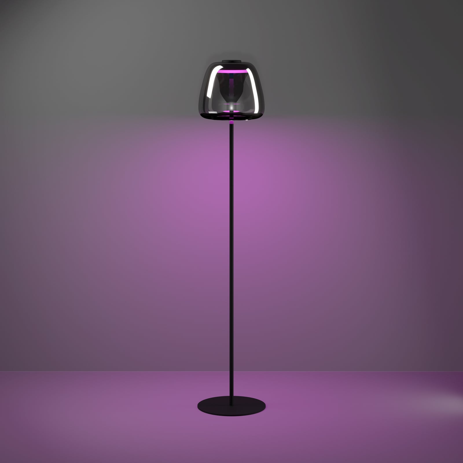 EGLO connect LED floor lamp Alfero-Z, RGB, CCT, black