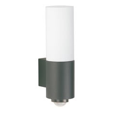 LED seinavalgusti 0278 liikumisanduriga antratsiidi värvi