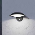 Saules LED sienas lampa Cerrisi, platums 10,5 cm, melna, sensors
