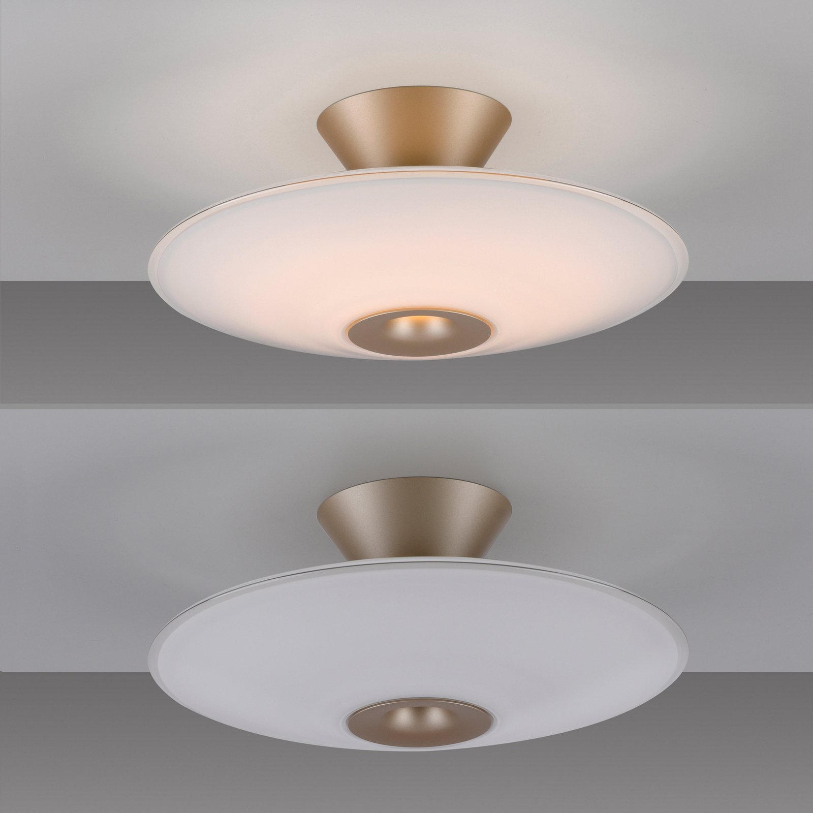 Paul Neuhaus LED-Deckenleuchte Elipsa, weiß/bronze, Ø 35 cm