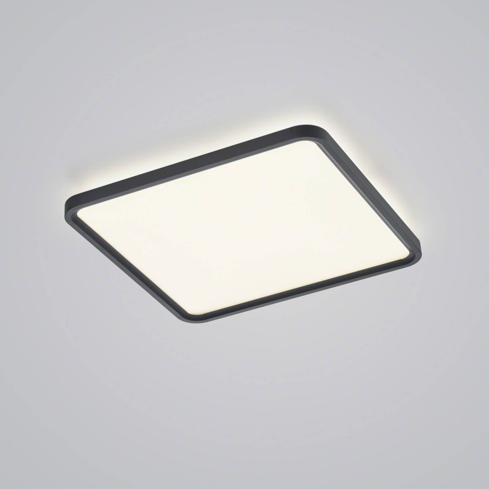Helestra Vesp -LED-paneeli backlight 61x61cm musta