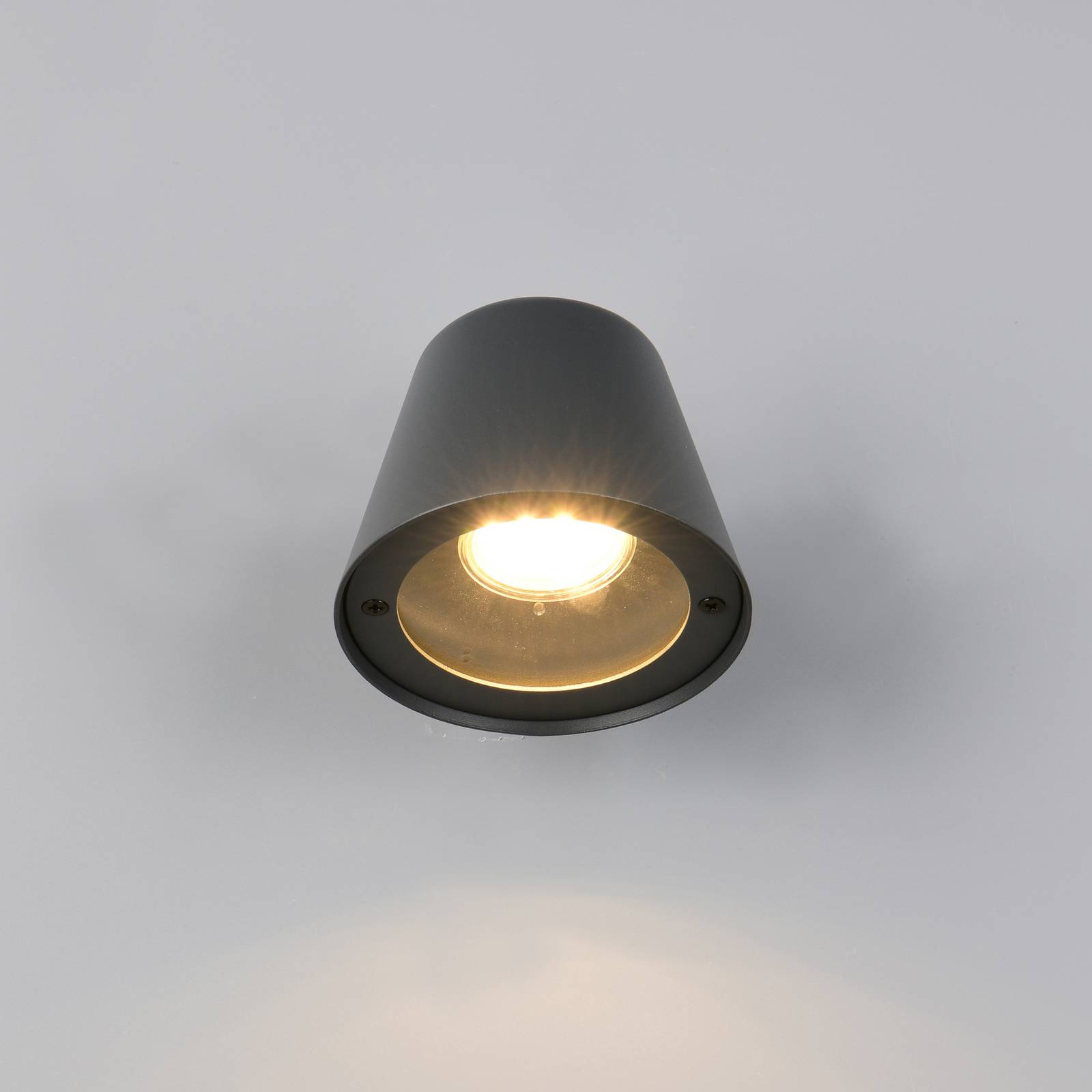 Trio Lighting Buitenwandlamp Beni, matzwart, breedte 11 cm, metaal