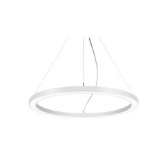BRUMBERG Biro Circle Ring5 directo Ø 60 cm DALI blanco 840