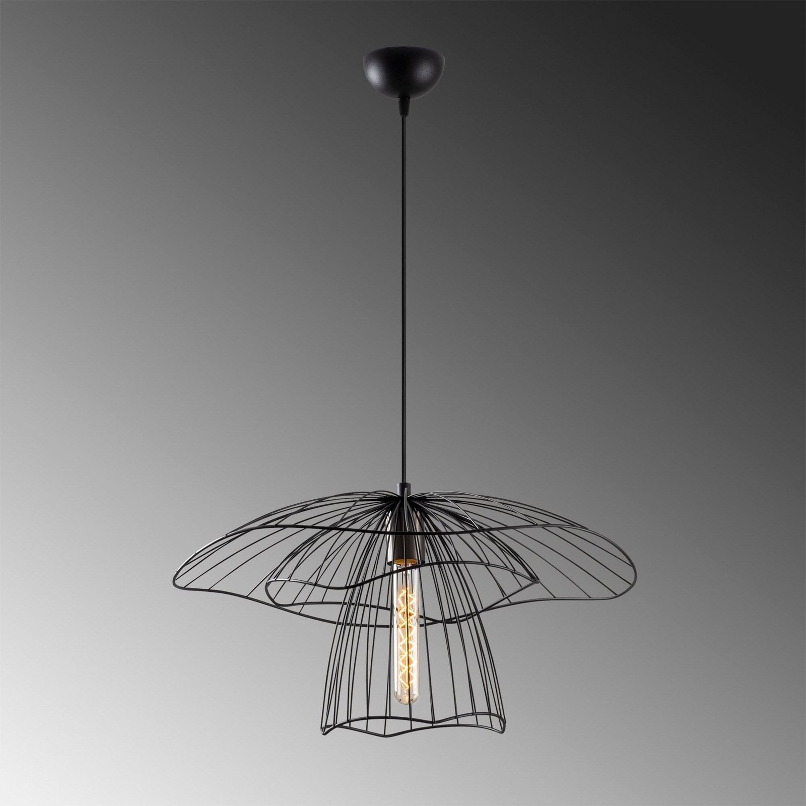 Hanglamp Tel 6504, zwart, ijzer, Ø 50 cm