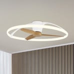 Smart LED-Deckenventilator Nepal, weiß/buche, DC, leise