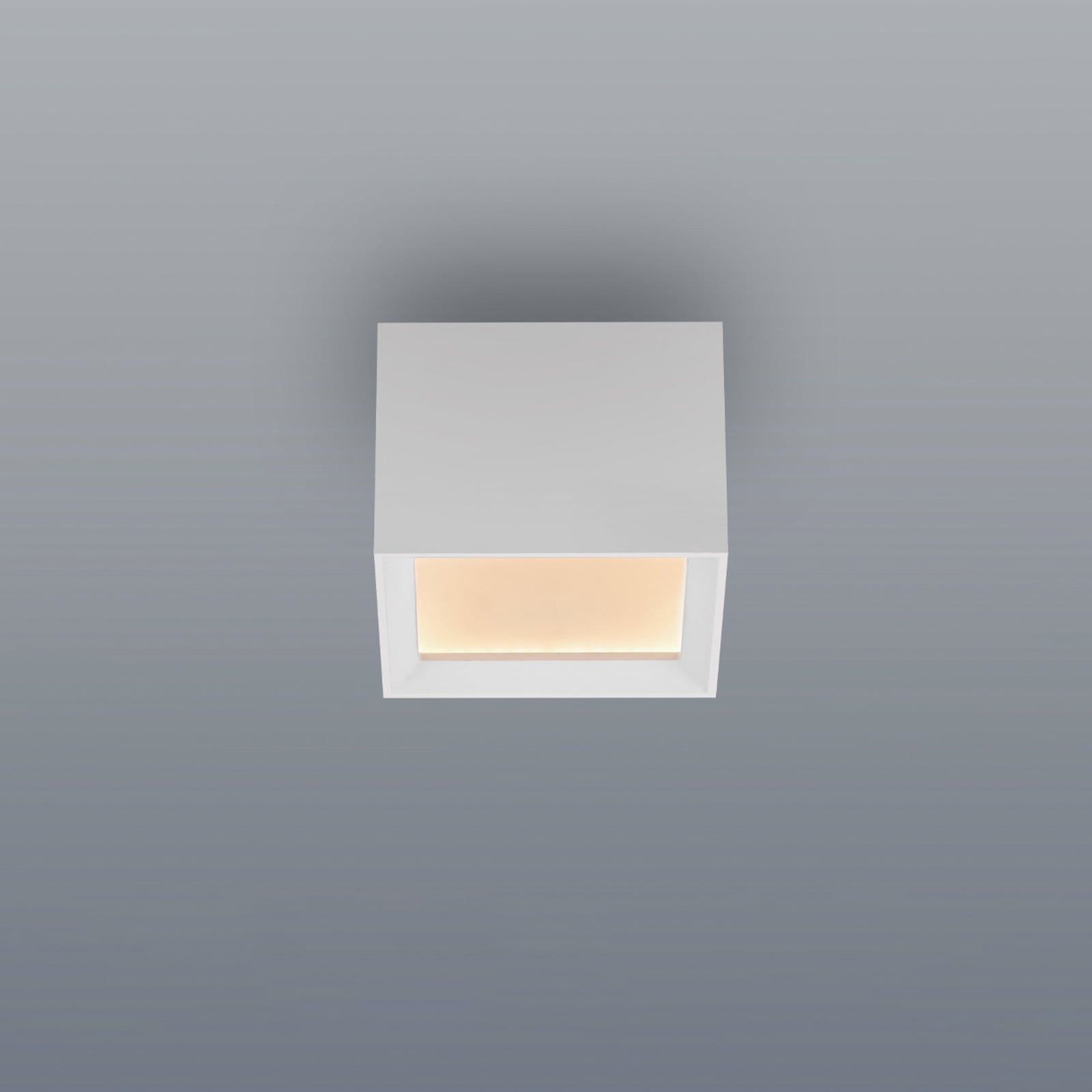 LED-stropna svetilka PURE Manhatten, bela, 1-žarilna, CCT