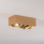 Riesta downlight, gold, 2-bulb