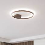 Lucande Smart LED stropna svjetiljka Moise, kava, CCT, Tuya