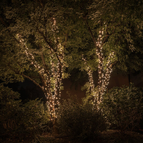 Catena luminosa LED Twinkly RGBW 250 luci