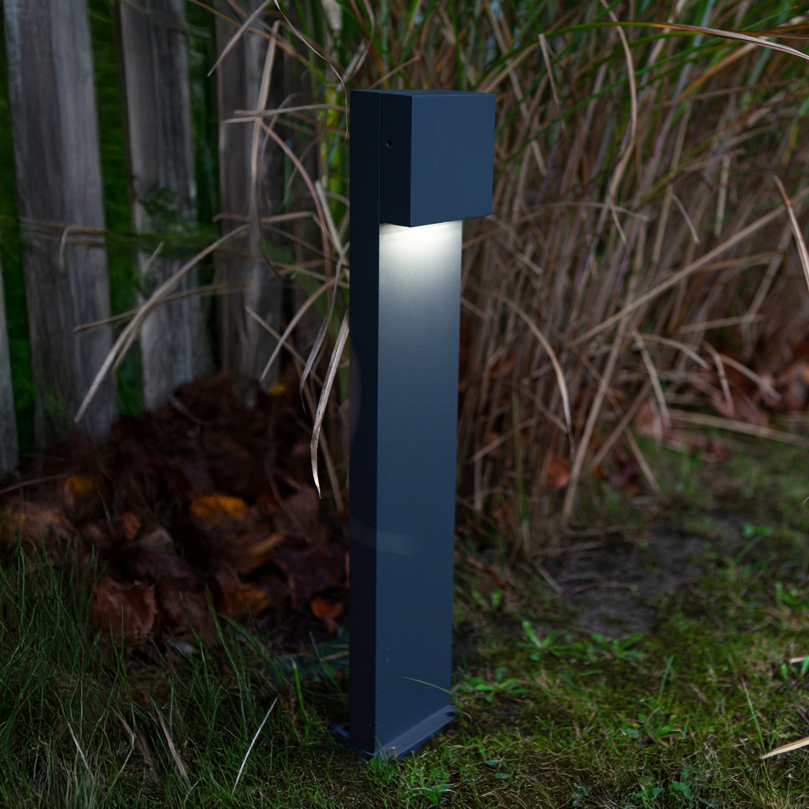 LED-Wegeleuchte Gemini FX, IP54, anthrazit