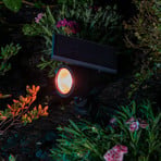 OSRAM SMART+ Solar-LED-Spot, schwarz, Erdspieß, RGB CCT IP44