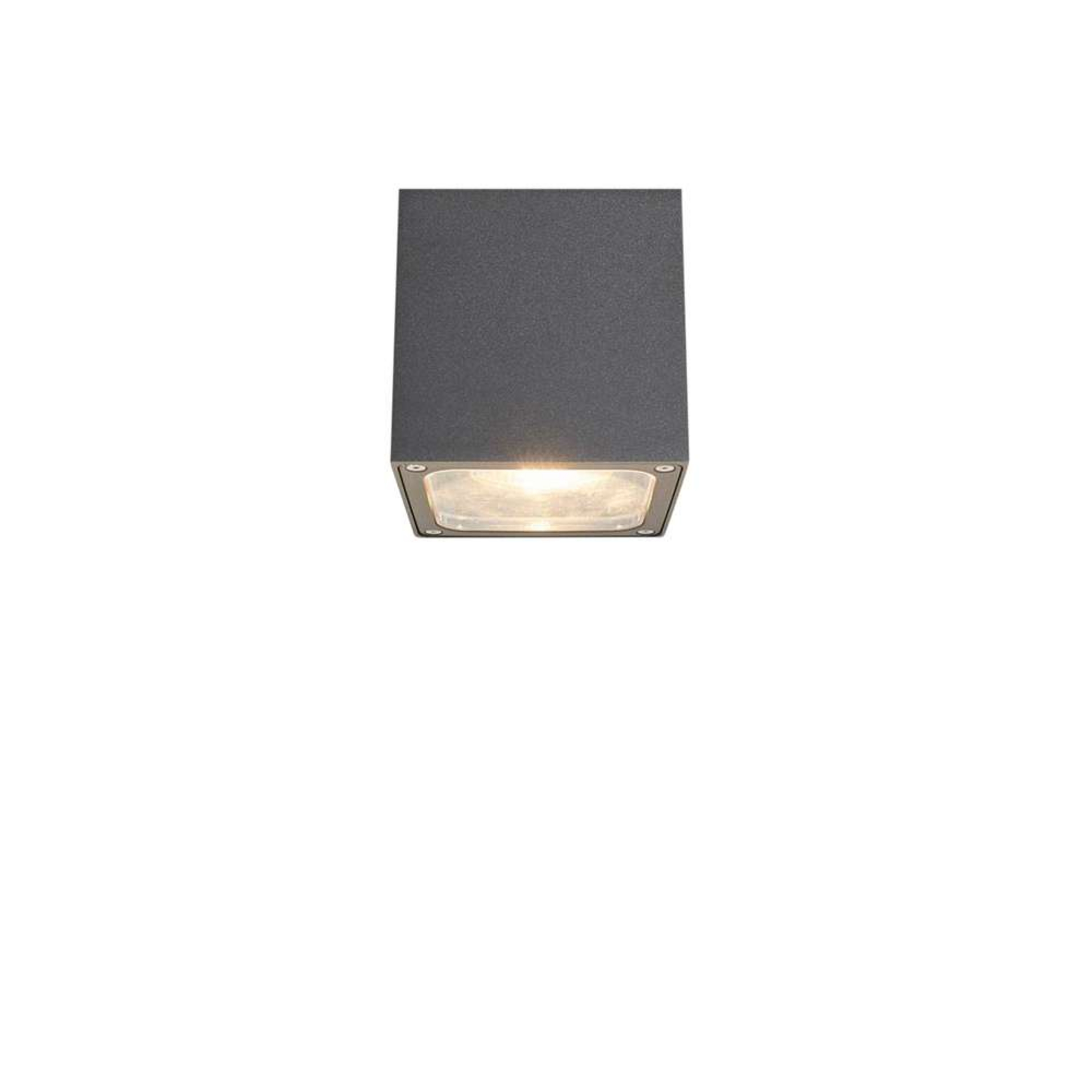 Tanea LED Udendørs Loftlampe 12x12 Dark Grey - Lucande