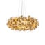 gold / transparent