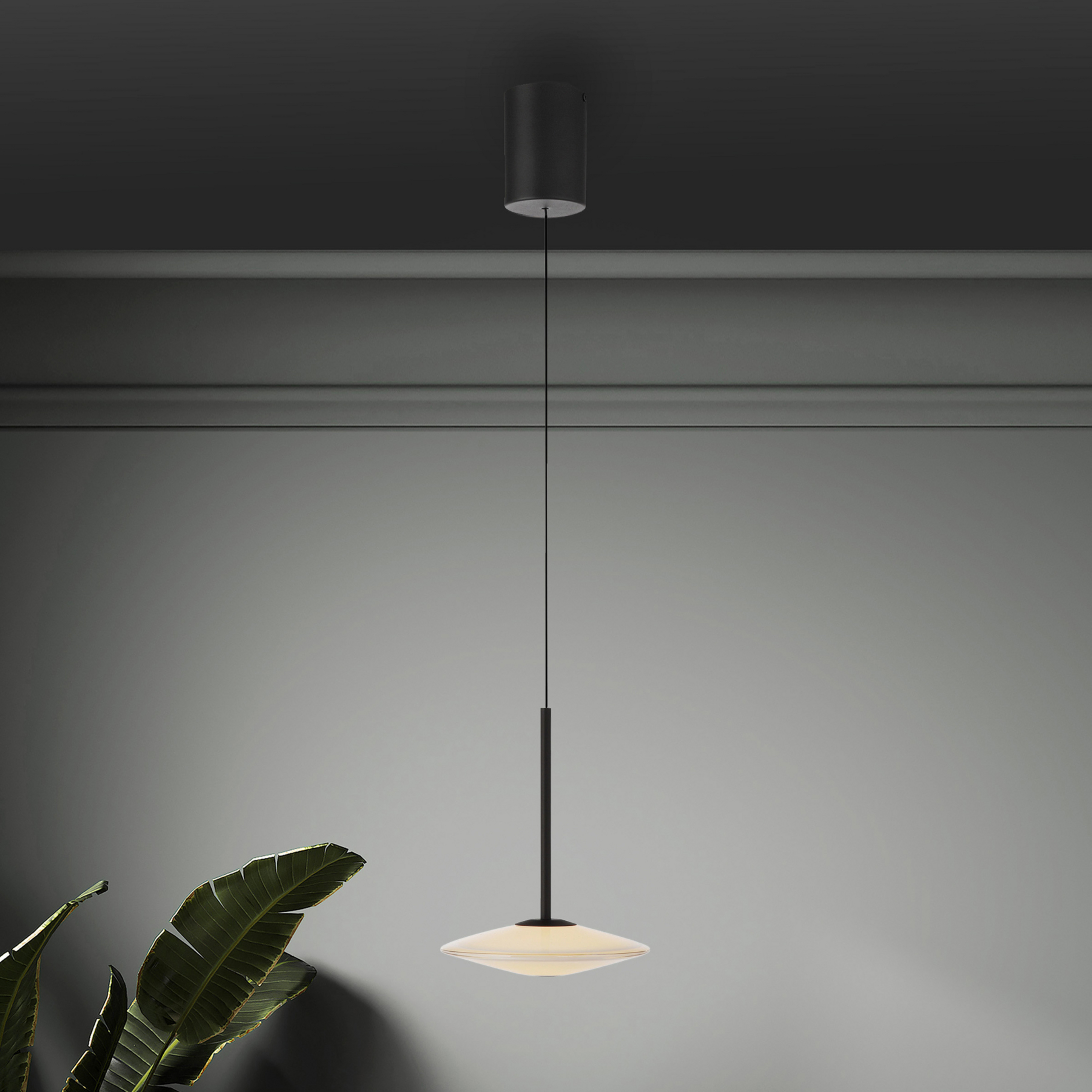 Paul Neuhaus LED-Hängelampe Elipsa, 1-flg., weiß/schwarz