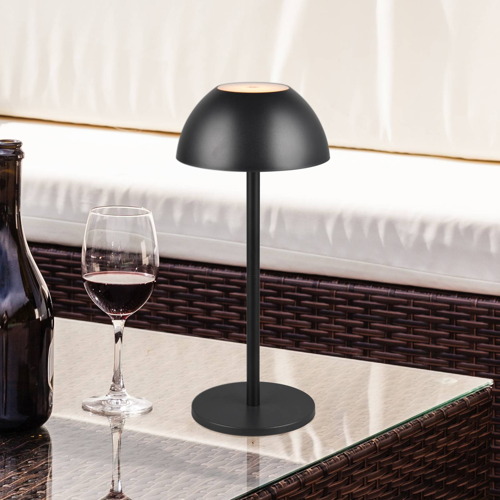 Reality Leuchten Lampe de table LED rechargeable Ricardo noir hauteur 30 cm plastique