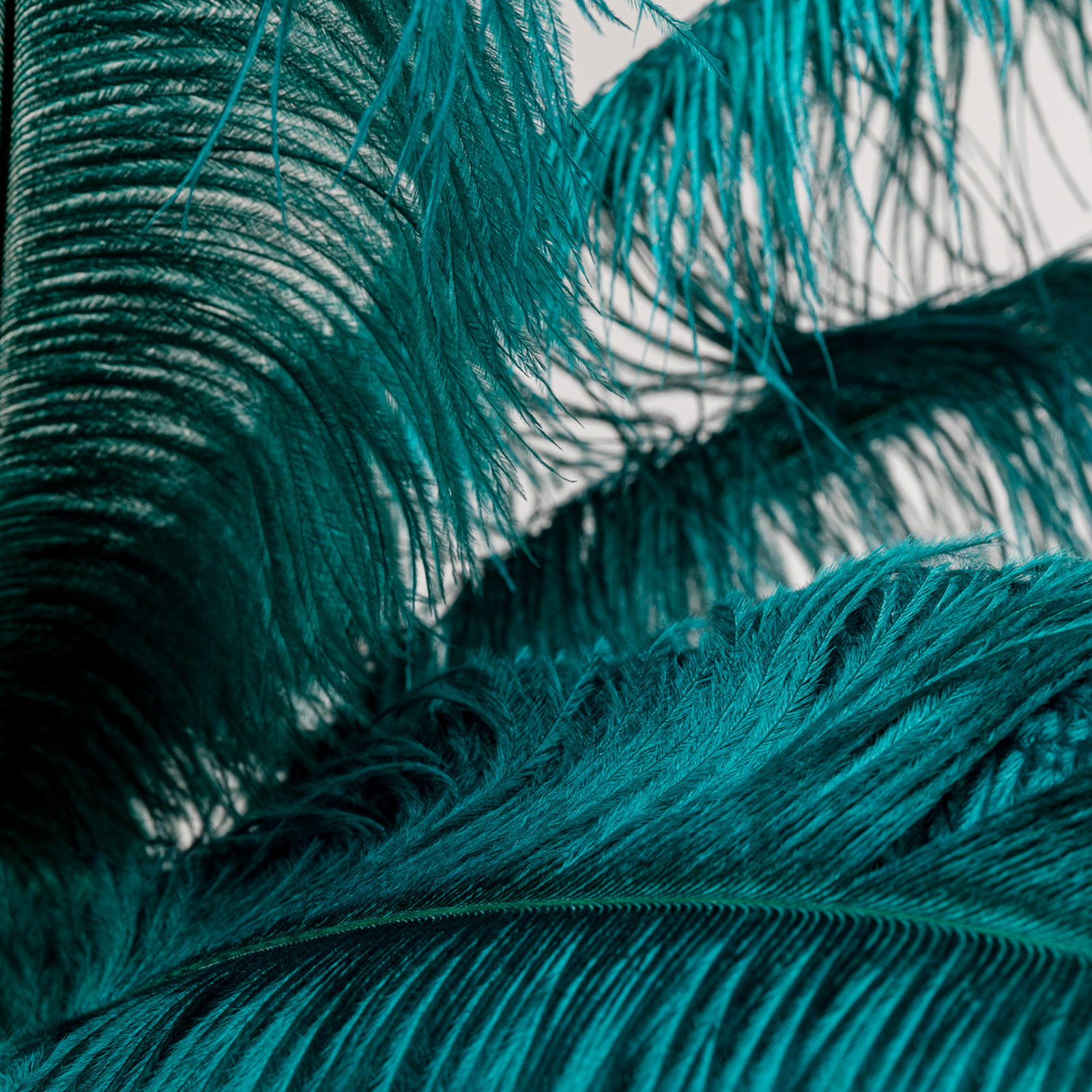 Kare Candeeiro de pé Feather Palm com penas, verde