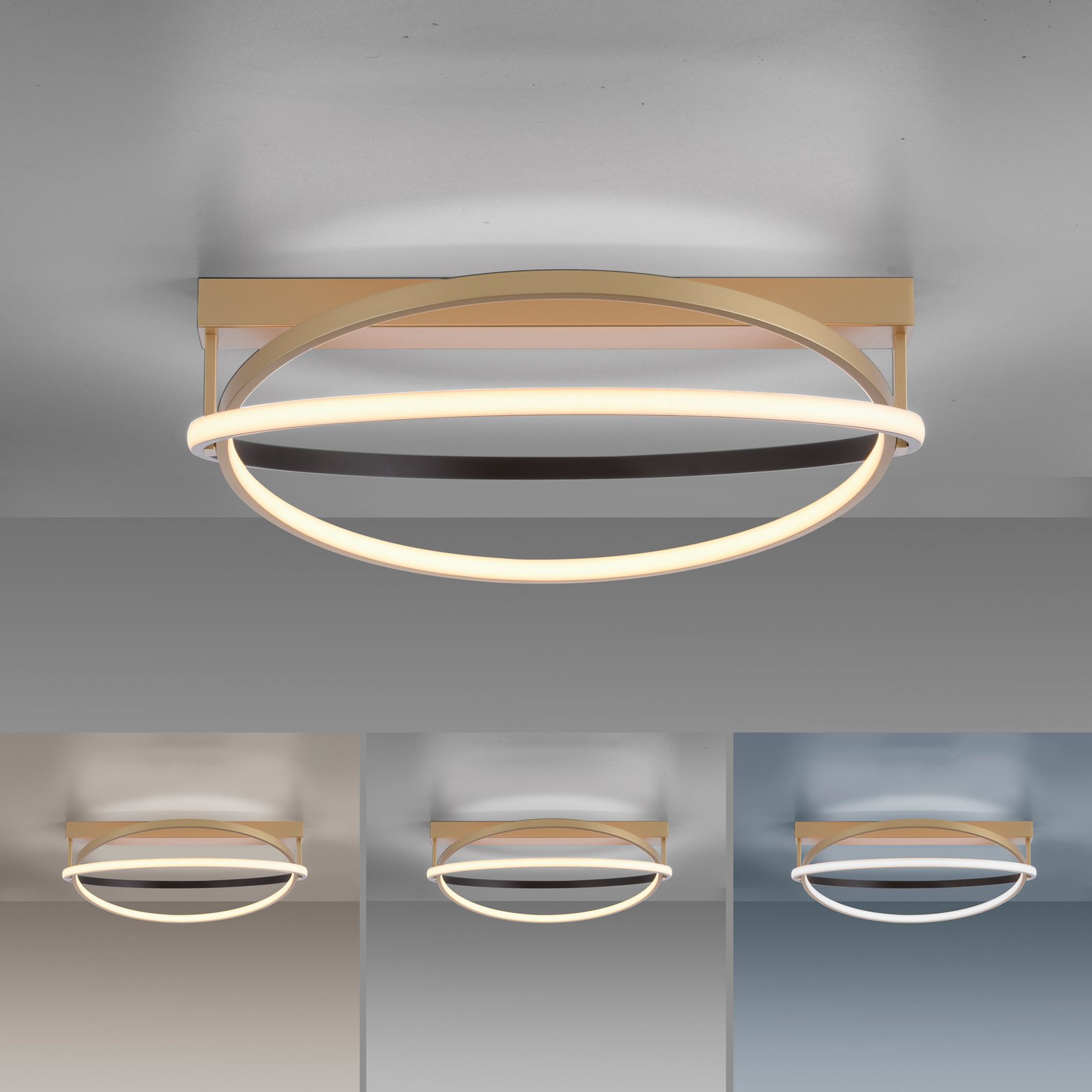 Paul Neuhaus Q-Beluga -LED-kattovalaisin, messinki