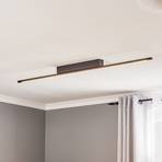 Quitani LED ceiling light Tolu, black, 118 cm