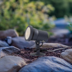 BEGA LED outdoor spotlight 85009, graphite, cast aluminium, plug