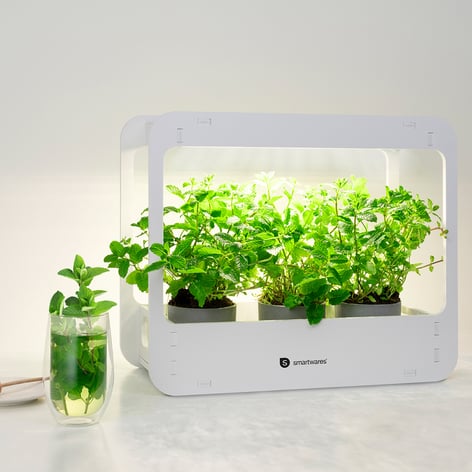 LED growing station ISL-60025, grow light