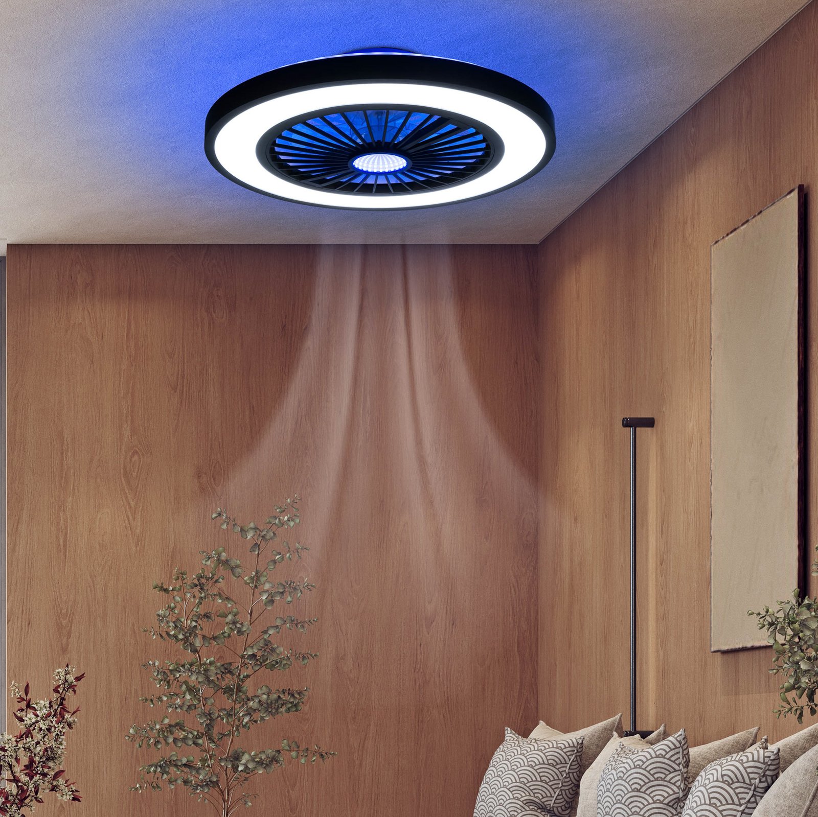 LED ceiling fan with light Arioso, quiet, Ø 54 cm, CCT