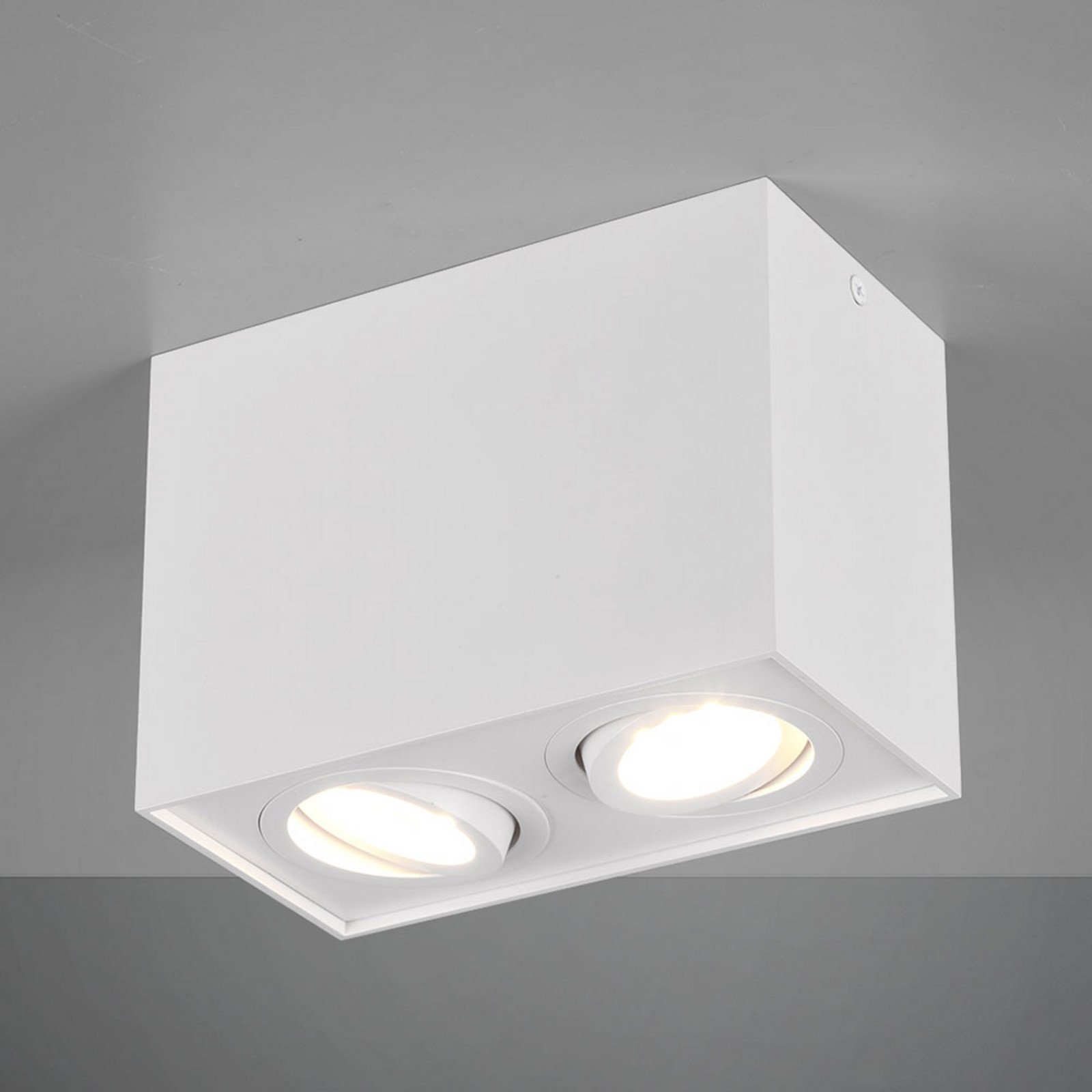 Trio Lighting Plafonieră Biscuit 2 becuri alb - Camera de zi / sufragerie - modern - Metal