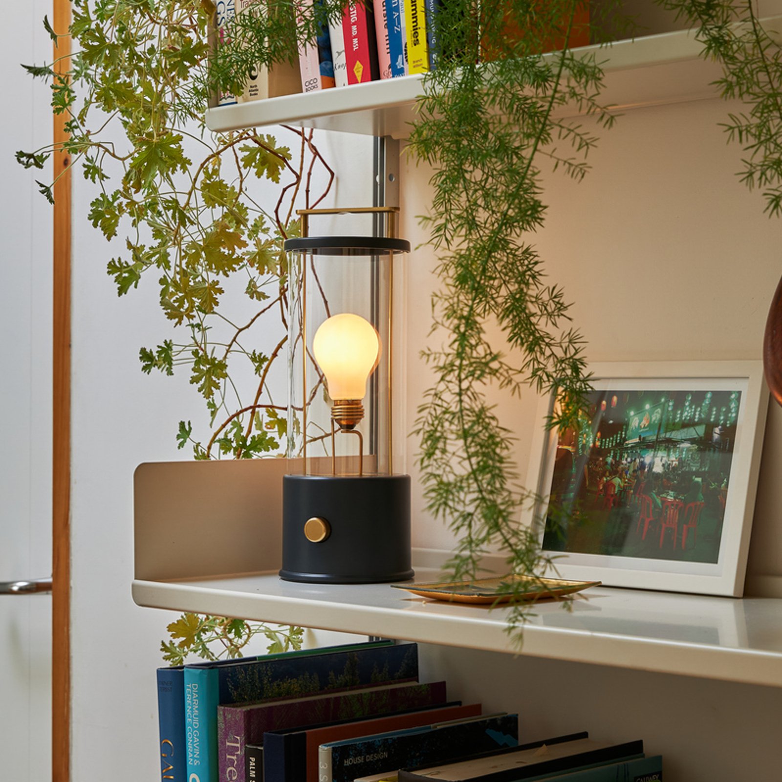 The Muse Portable Tala x Farrow & Ball Hackles Black - Tala