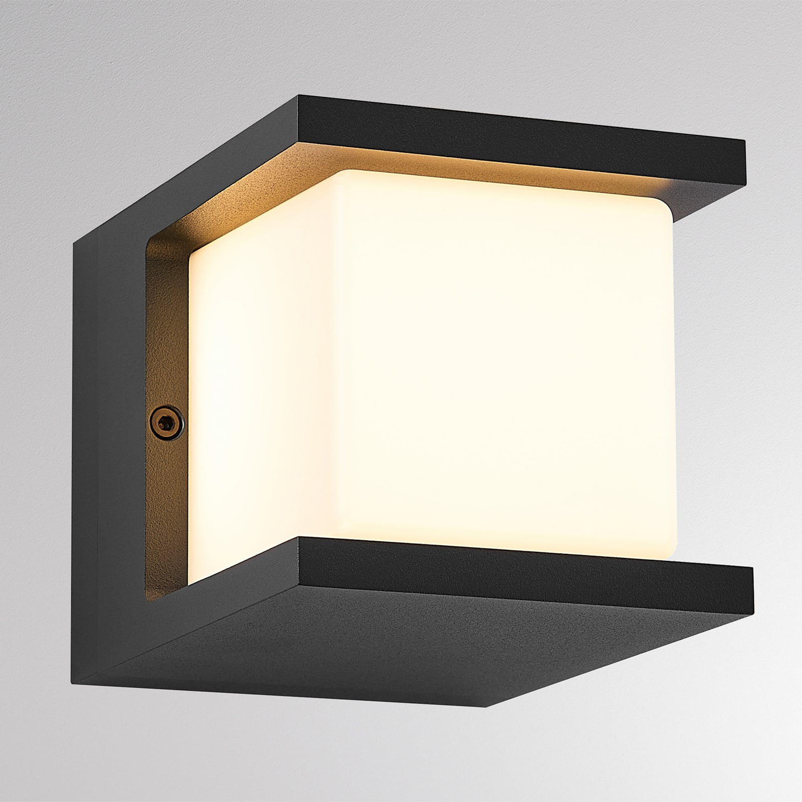 Applique d'extérieur LED FYNN-U, anthracite, 12 cm, IP65, CCT
