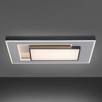 Paul Neuhaus Q-Alta LED-Deckenleuchte, 100x55cm