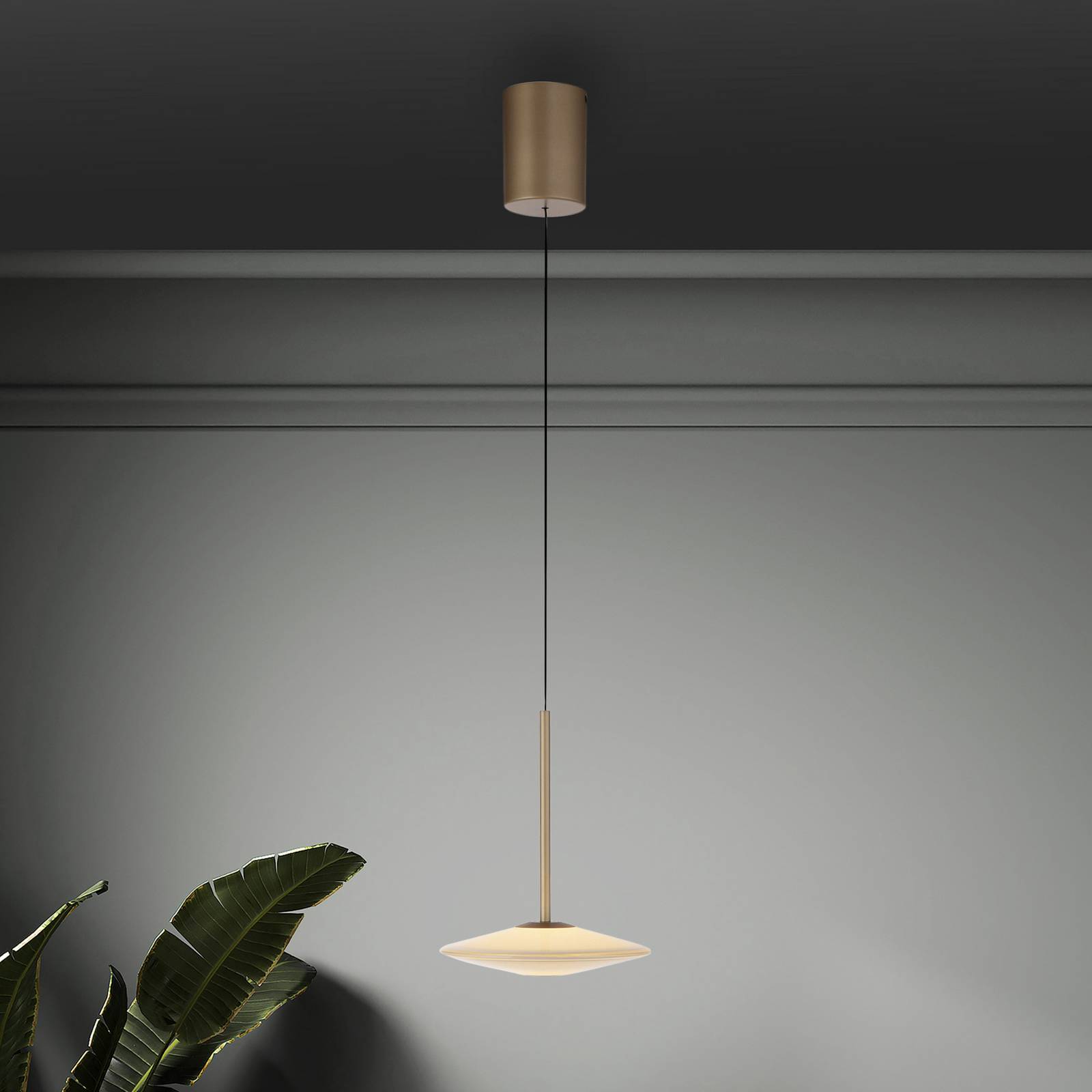 Paul Neuhaus LED-Hängelampe Elipsa, 1-flg., weiß/bronze günstig online kaufen