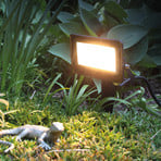 Megatron LED foco exterior MT69070, RGBW