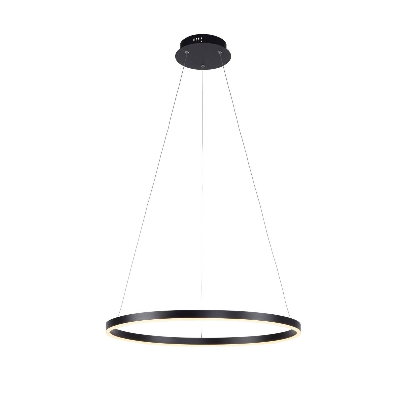 Suspension LED Ritus Ø 58,5 cm anthracite