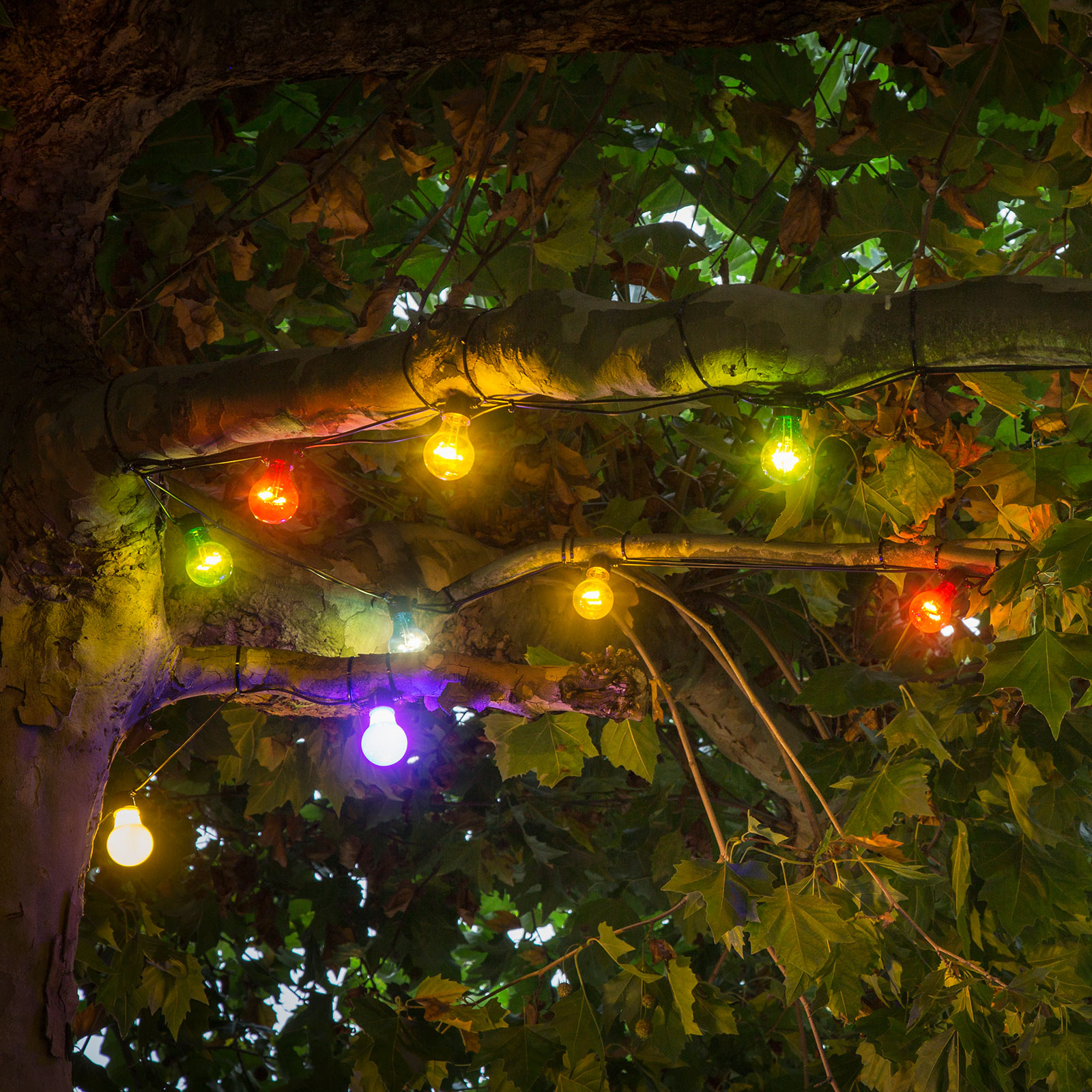 Compra Cadena luces LED Biergarten ampliación, multicolor | Lampara.es