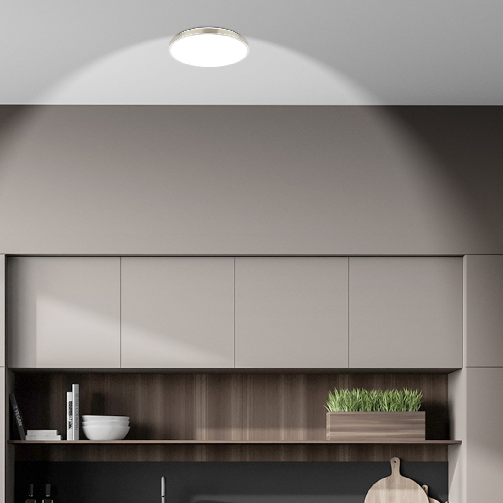 LED lubų šviestuvas „Kaida“ matinis nikelis, Ø 30 cm, EEK A, 4000 K LED lubų šviestuvas „Kaida“ matinis nikelis, Ø 30 cm, EEK A, 4000 K