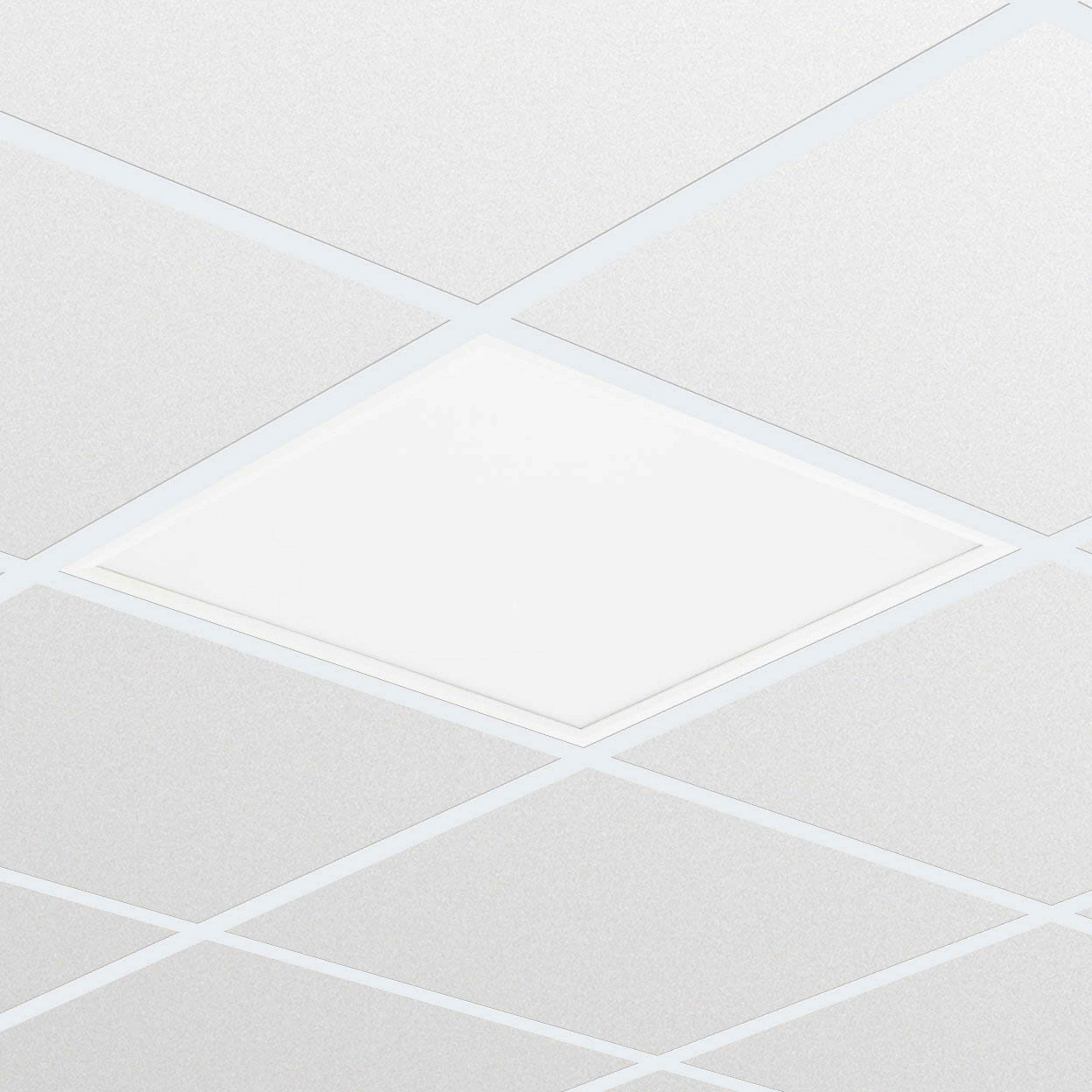 LED-Panel RC133V G4 LED43S/840 PSD W62L62 OC