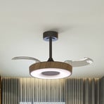 Smart LED-Deckenventilator Coin, holz/schwarz, DC, leise