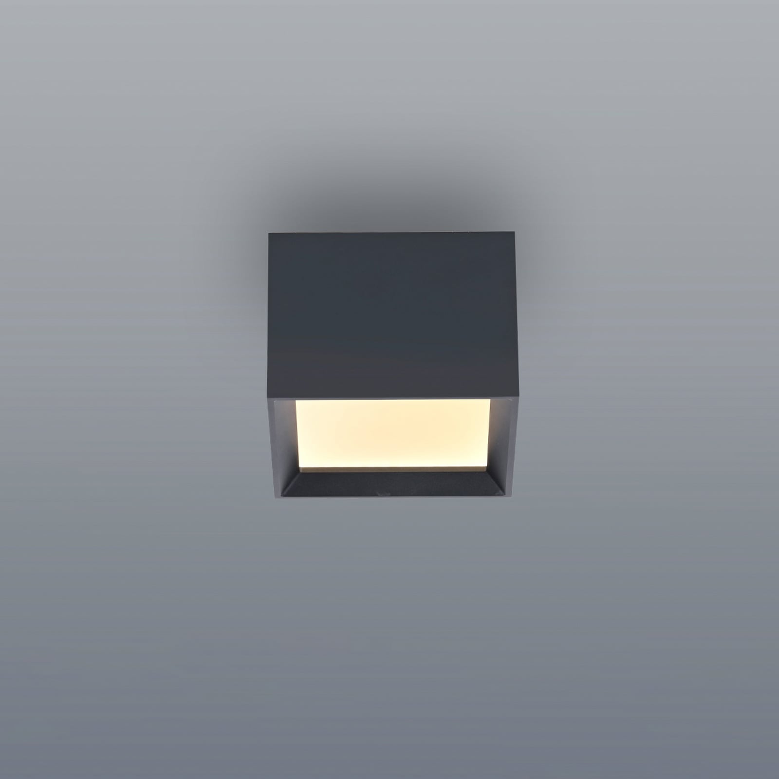 LED-stropna svetilka PURE Manhatten, mystic grey, 1-žarilna, CCT