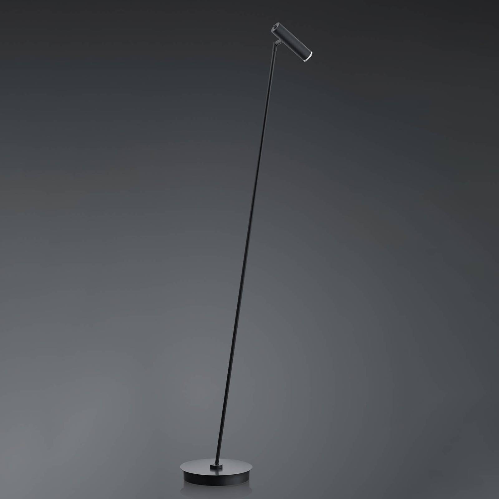 HELL Lampadaire LED Tom dimmable noir