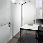 Luctra Floor Twin Linear LED floor lamp black